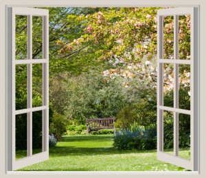Photo Courtesy of Karen Arnold http://www.publicdomainpictures.net/view-image.php?image=42362&picture=spring-garden-window-frame-view